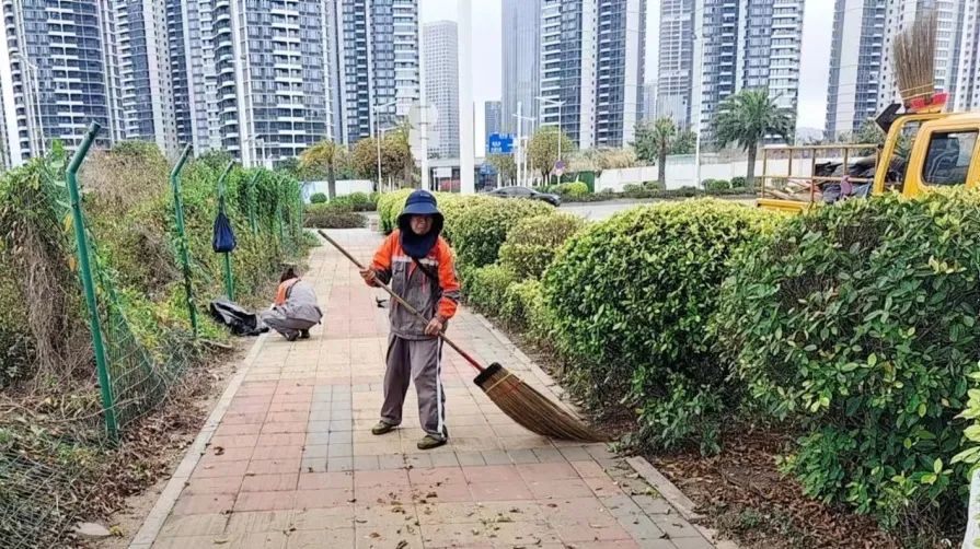 1709781588319884.jpg 17.jpg