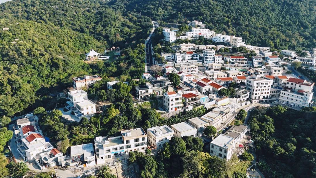 1742369843548920.jpg 7.jpg