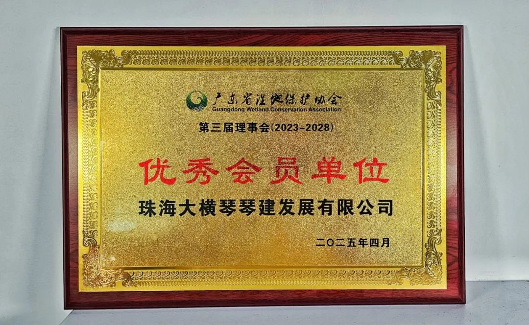 1747194165386852.jpg 6.jpg