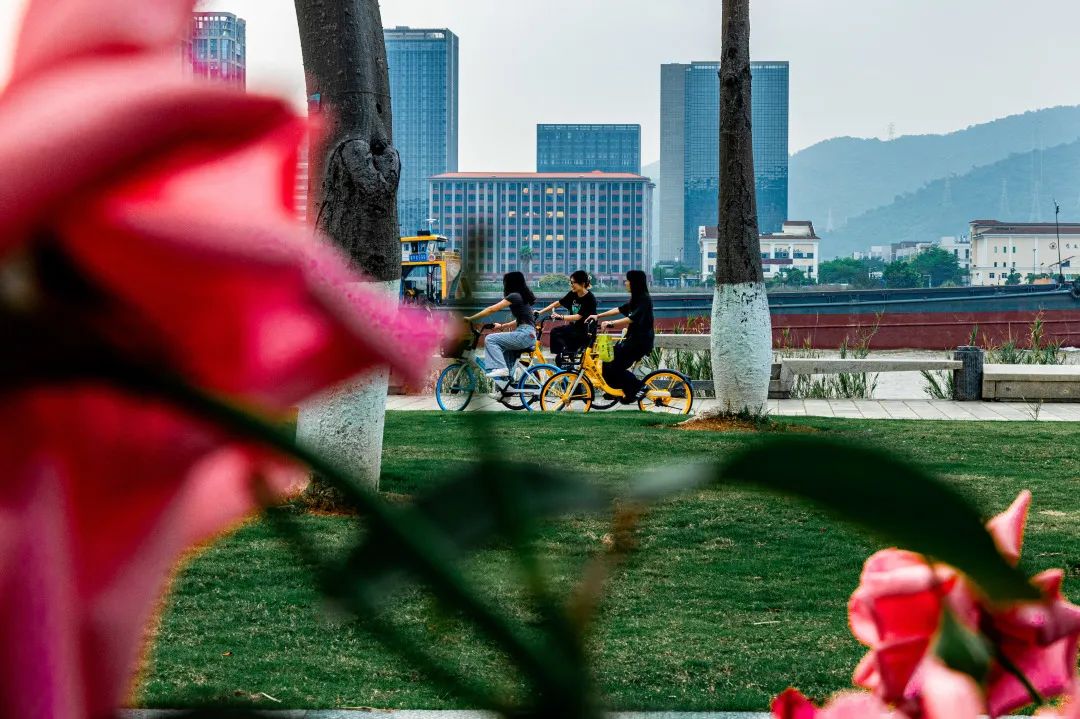 1747295727537543.jpg 6.jpg